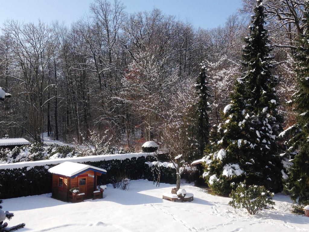 Ferienwohnung Will Walkenried Rum bild